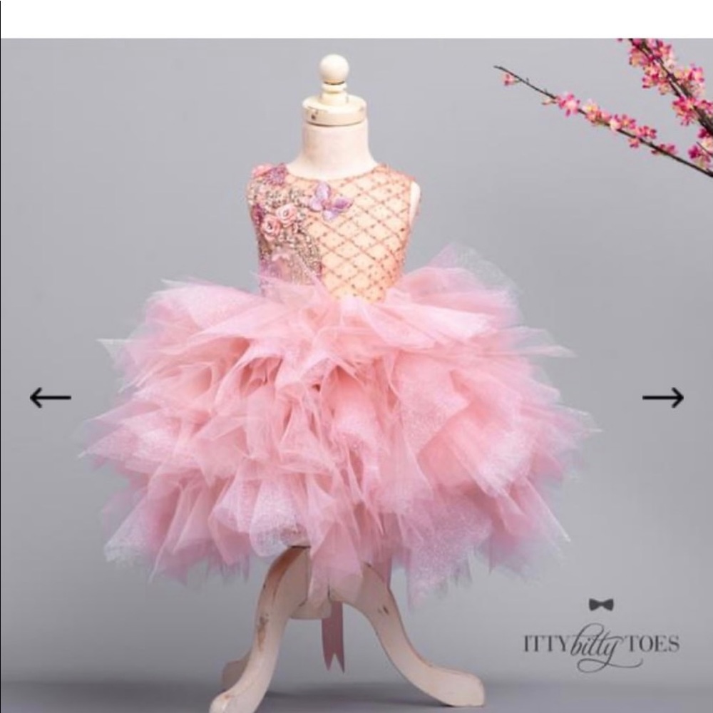 Itty Bity Toes 12 month dress!